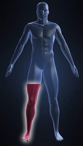 regenerative targeted muscle reinnervation